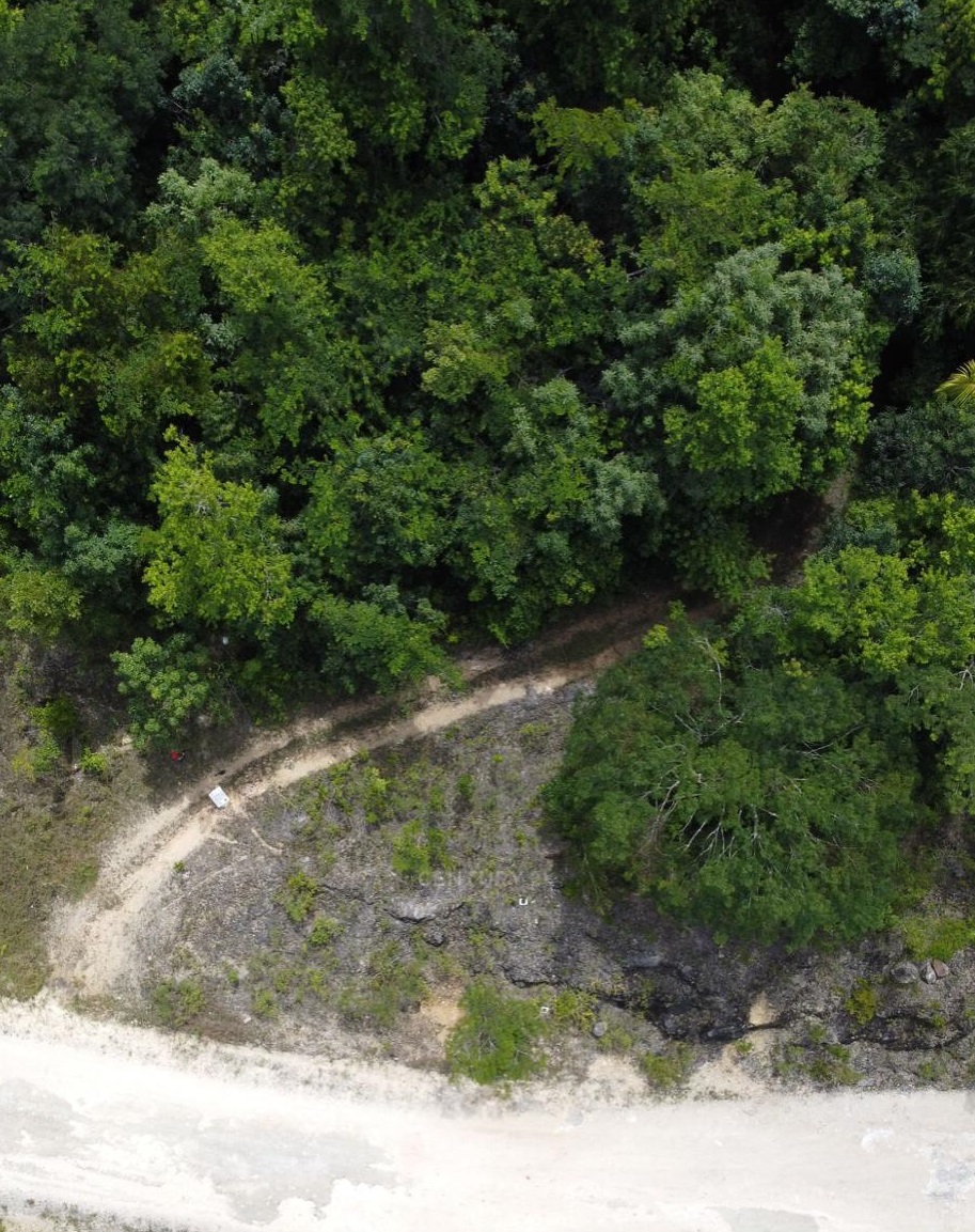 91 Acres of Tourism Caving & Tours Concept Development