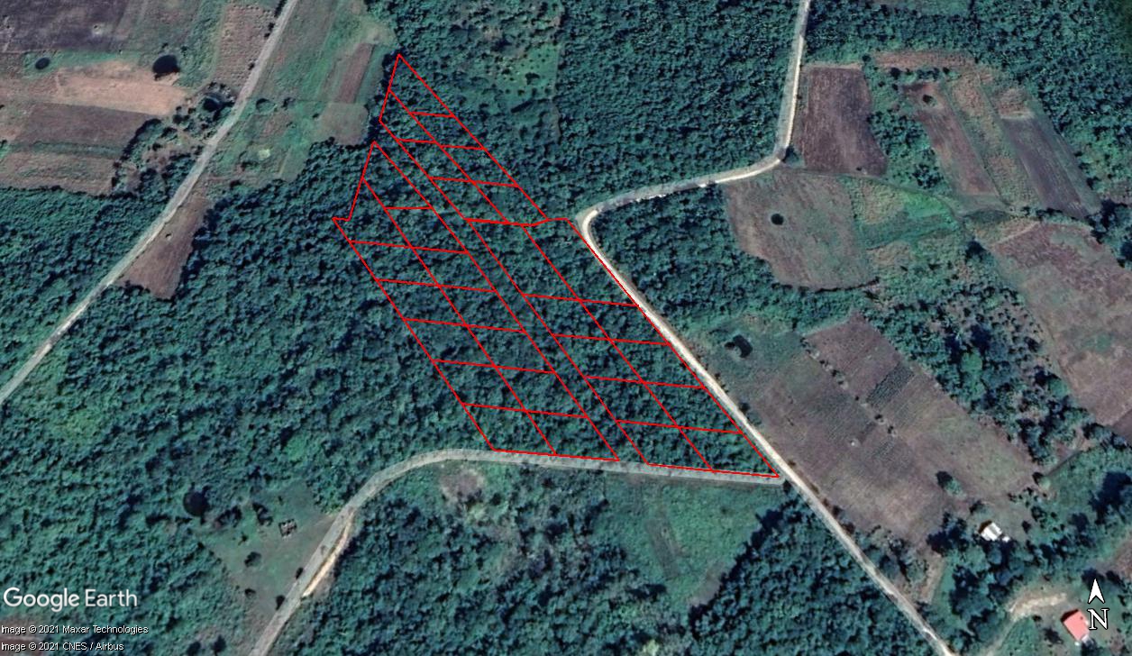 #4074 – Tropical Living Lot #11 Off Grid Lots near San Ignacio Town, Cayo District, Belize