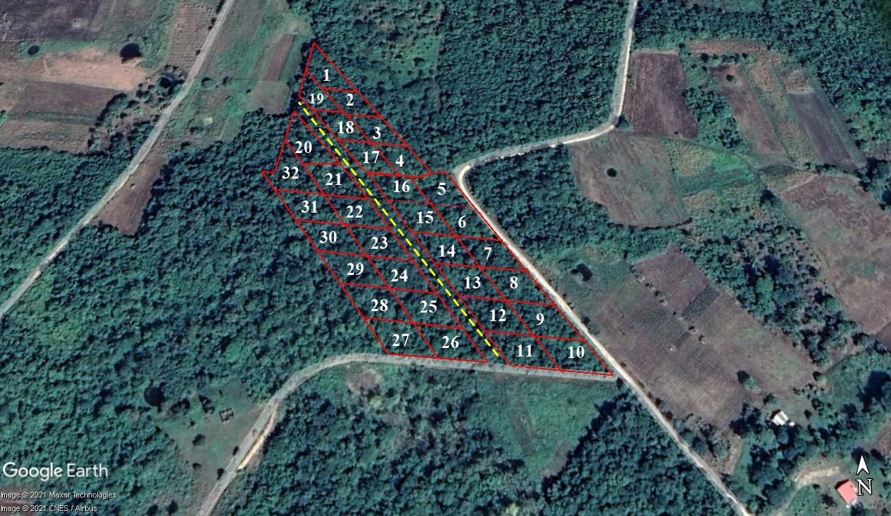 #4072 – Off-Grid Residential Lot #9 in San Antonio Village – near San Ignacio Town, Cayo District, Belize