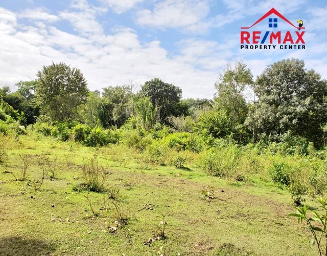 #4037 – Large Lot in small Residential Subdivision near Belmopan