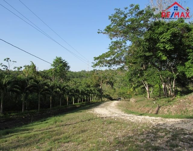 #4011 – Residential 1/2 acre lot in Western Belize