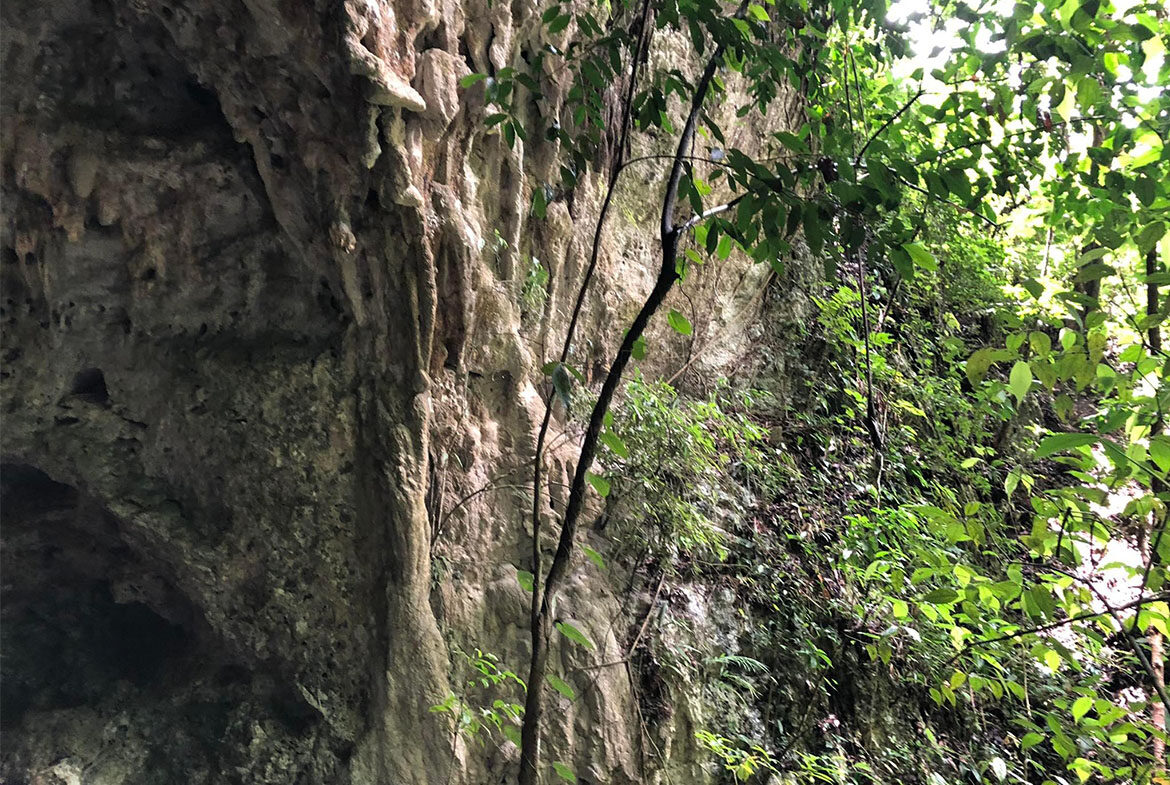 30 Acres Near Massive Cave!