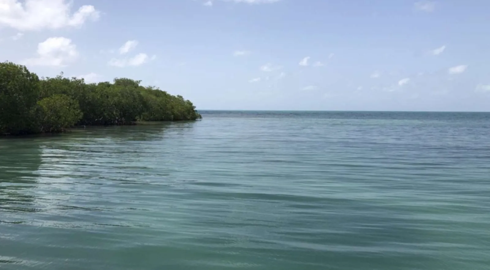38 Acre Caye near Placencia