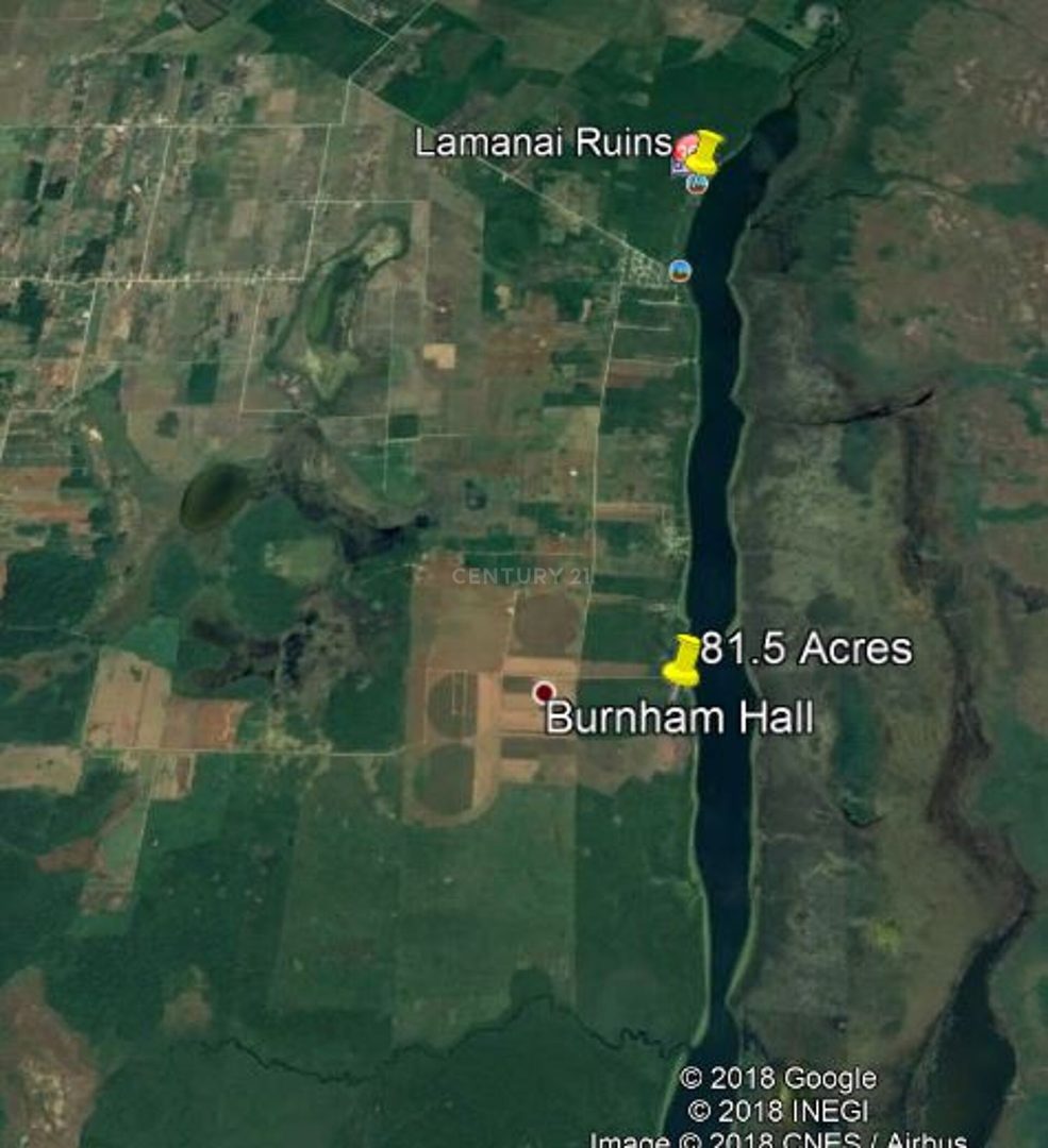 81.5 Acres with New River Lagoon frontage 2mls South Lamanai Mayan Ruins