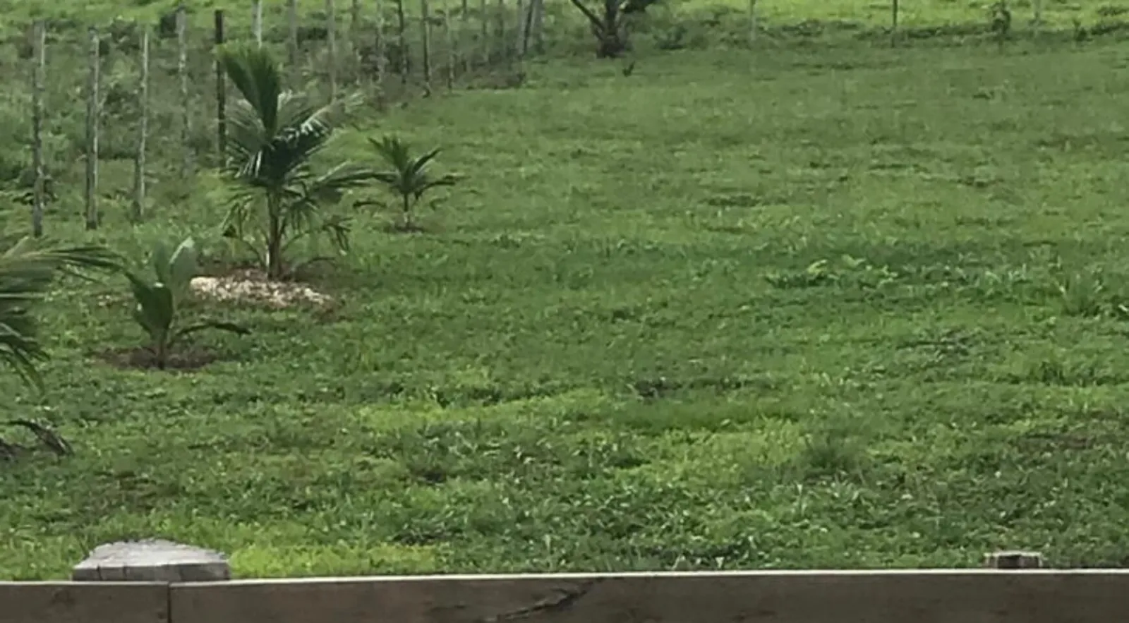 Spanish Creek Estates Land at Rancho Dolores
