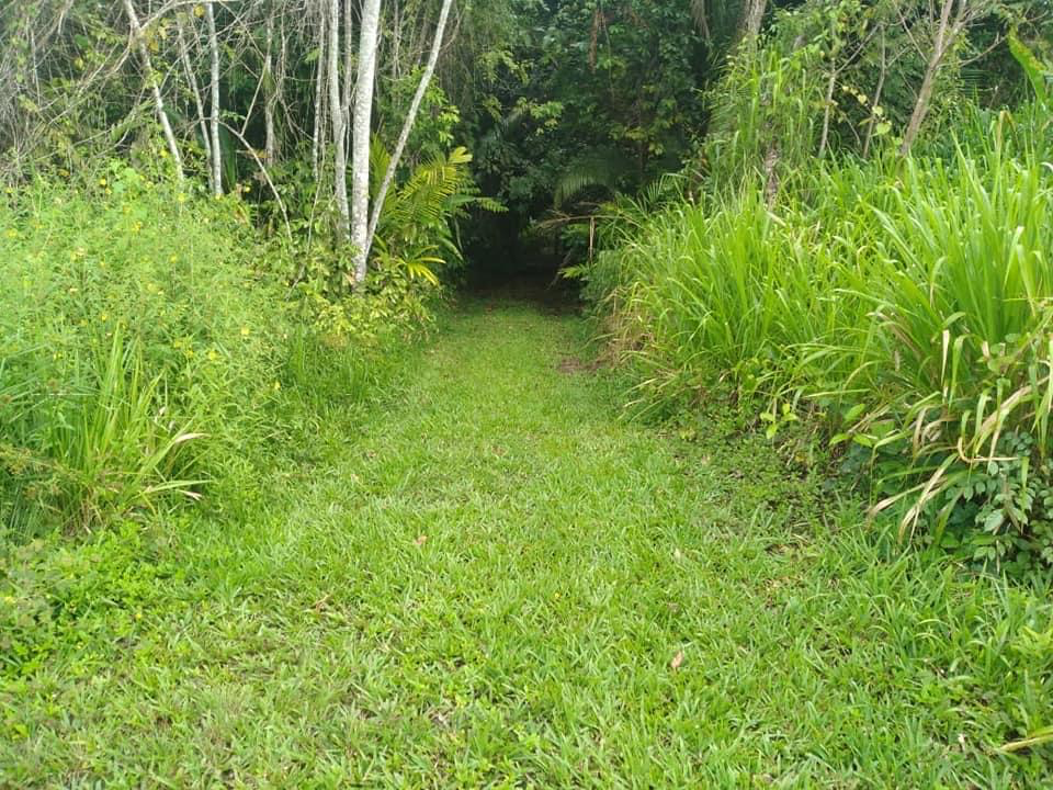 7 acres on Mile 49 on Hummingbird Highway