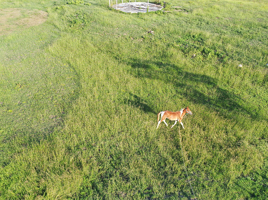 125 Acre Ranch| Perfect For Cattle Production