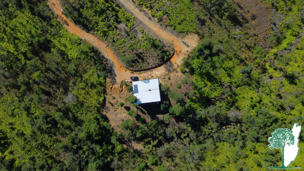 Off-Grid Contemporary Mountain Dwellings in the Pine Forest