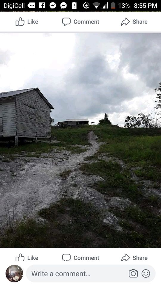 Title 1,420 acres farm land for sale!