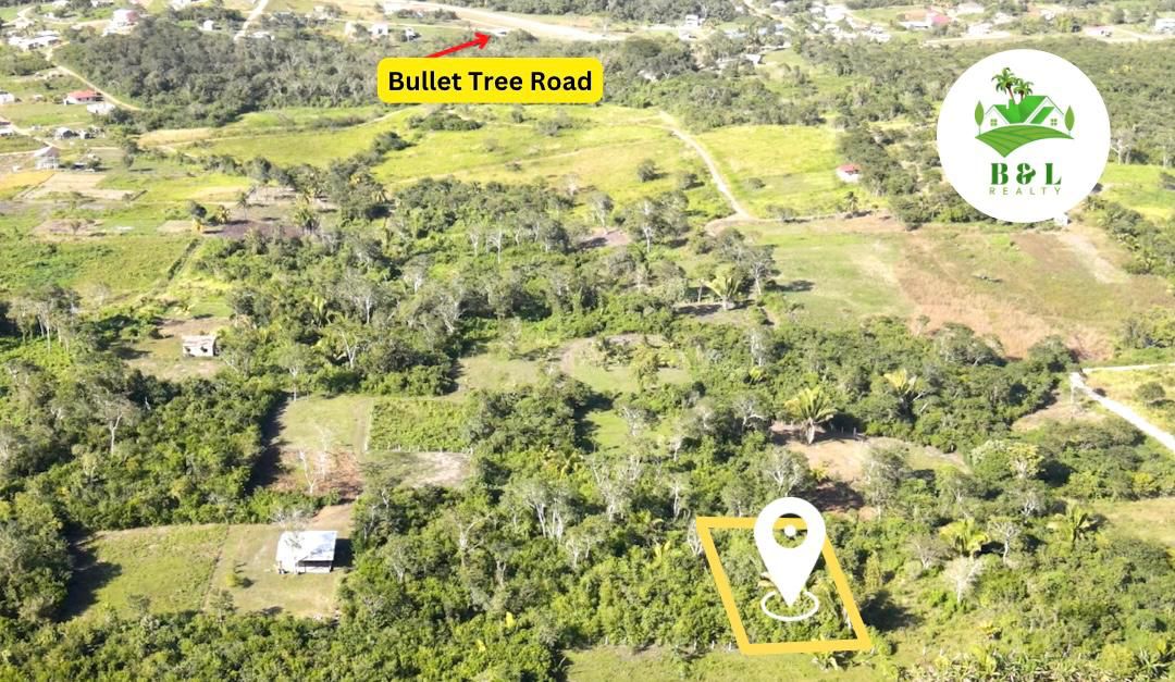 Pristine property with an amazing deal located in Charlie Wagner Layout, Bullet Tree Village, Cayo.