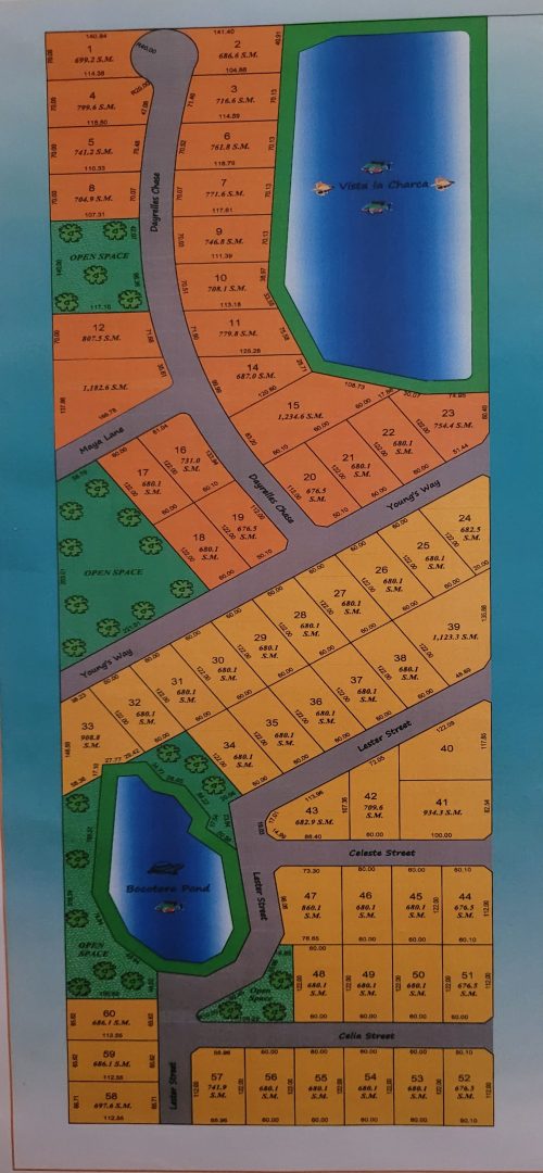 Celeste Gardens Land Development Lots for Sale! In High Demand!