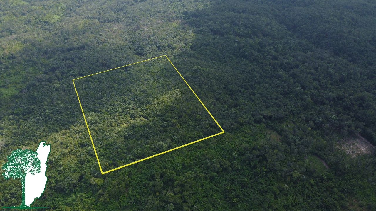 10 Acres Shawville for sale