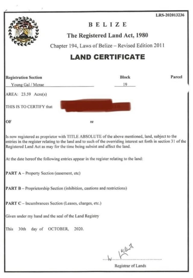 Great deal 23.59 acres 3 miles off the spanishlookout pavemeant road