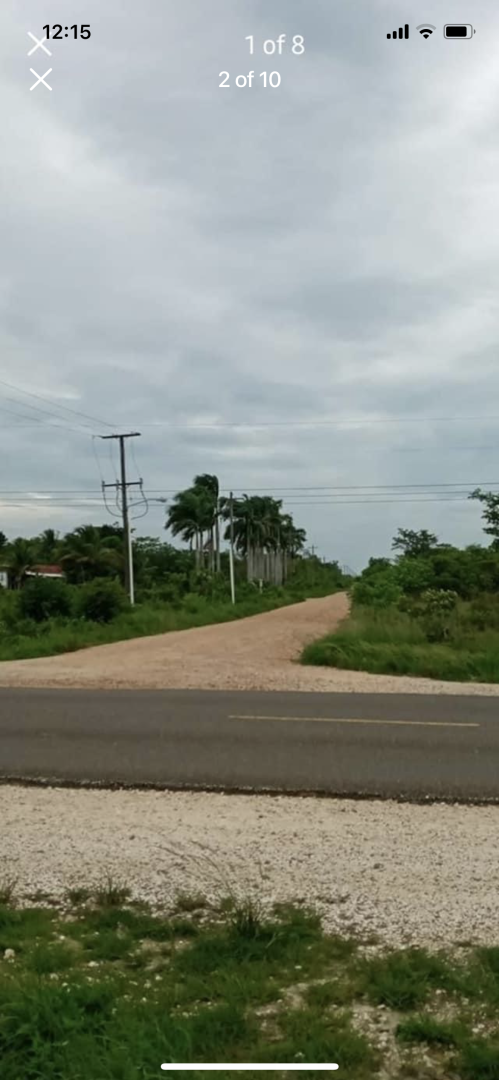 Title 11 acres on Mile 41 George Price highway