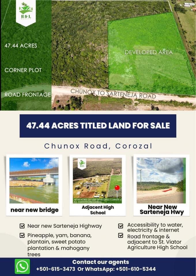Beautiful 48 acres land in Corozal