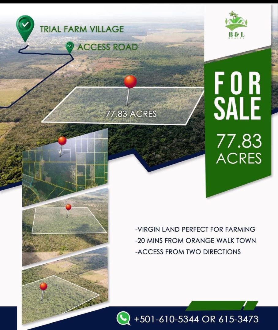 Prime land in Trial farm, Orange Walk for Sale