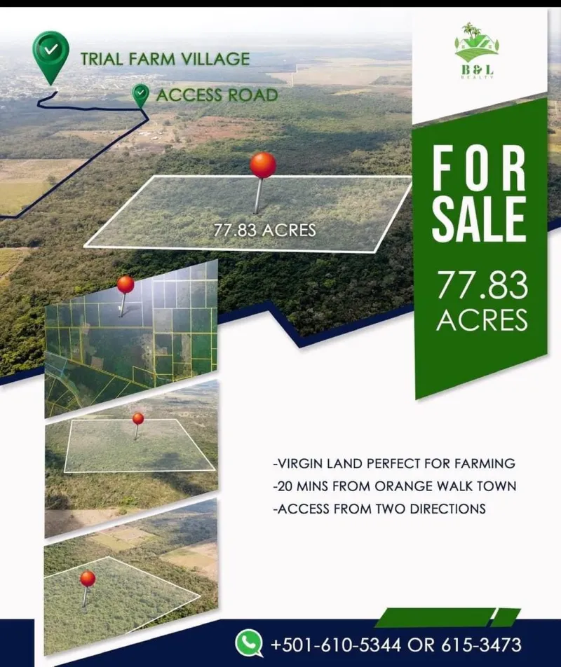 Prime land in Trial farm, Orange Walk for Sale