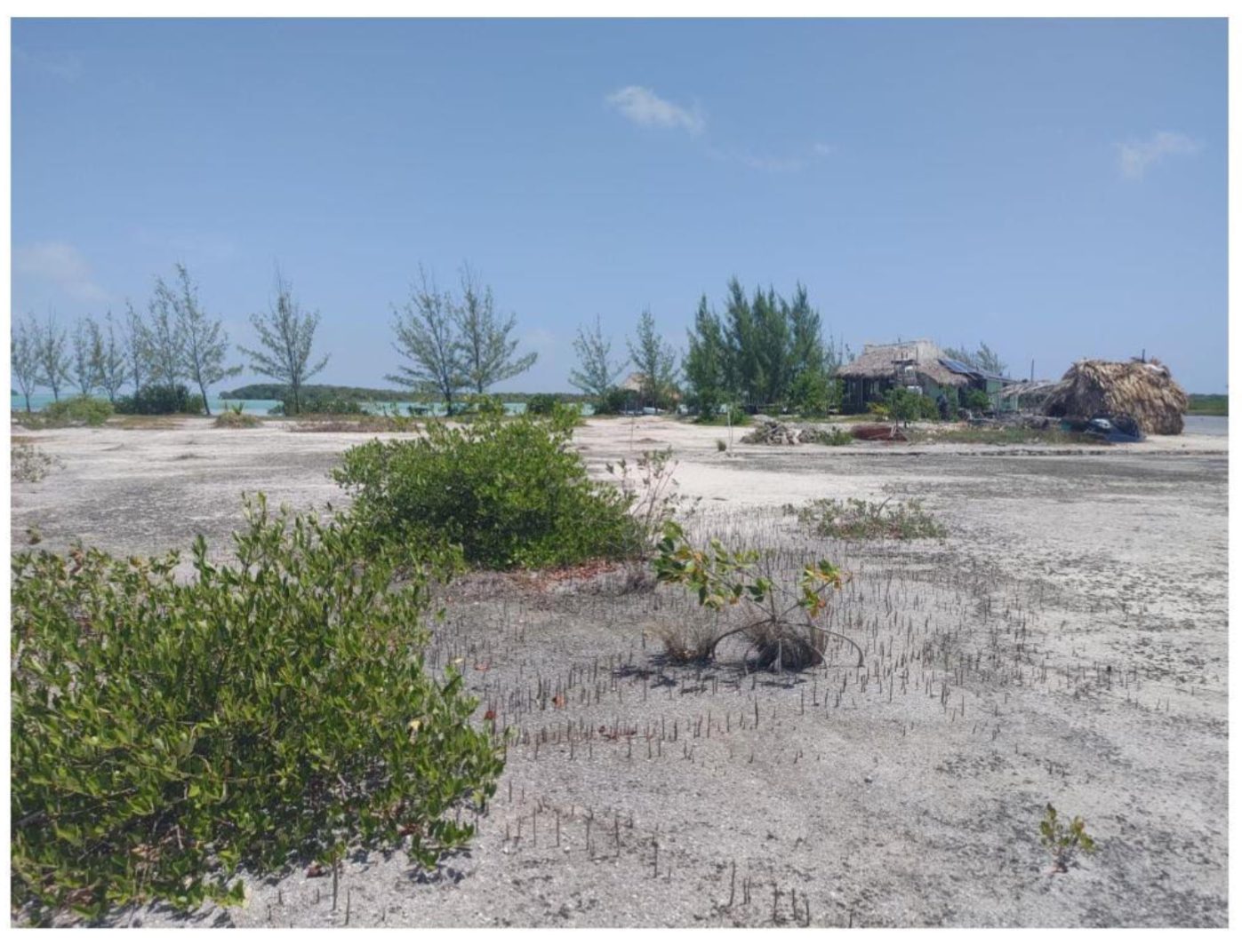 West Secret beach beachfront land lot 8
