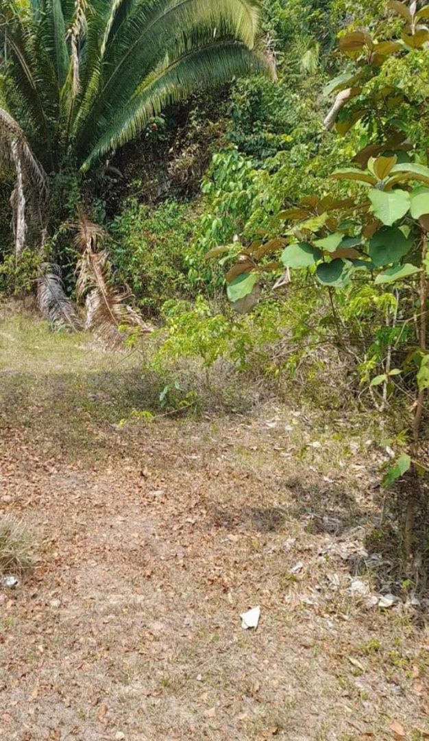Title 20 Acres For Sale- Off the Grid Property