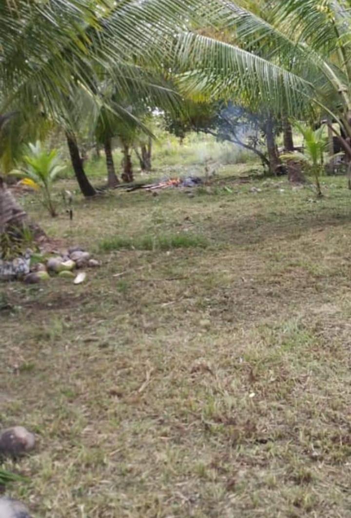 Title 10 Acres Farm Land- West Along More-Tomorrow New Road