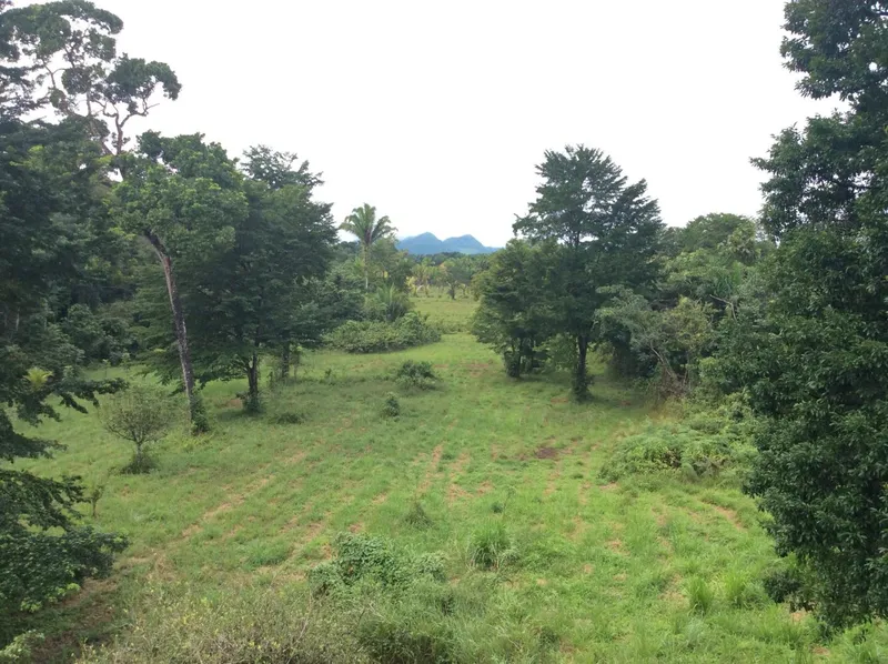 Stunning views, fertile farm land and a birders paradise in Toledo!