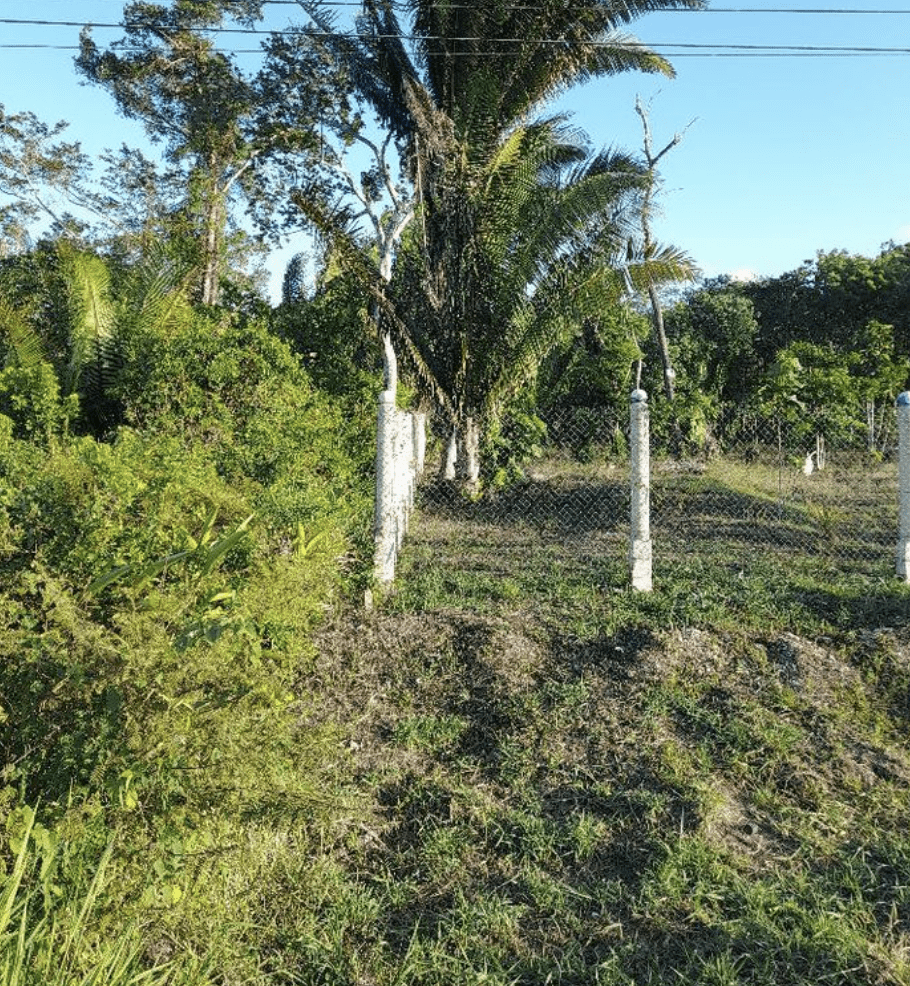 PRISTINE 5.4 ACRES COMMERCIAL-INDUSTRIAL ESTATE WESTERN HIGHWAY BELMOPAN CITY