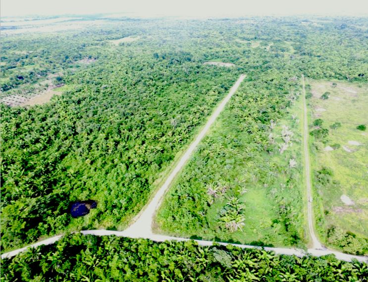 25 Acre land in Cayo District, Belmopan.