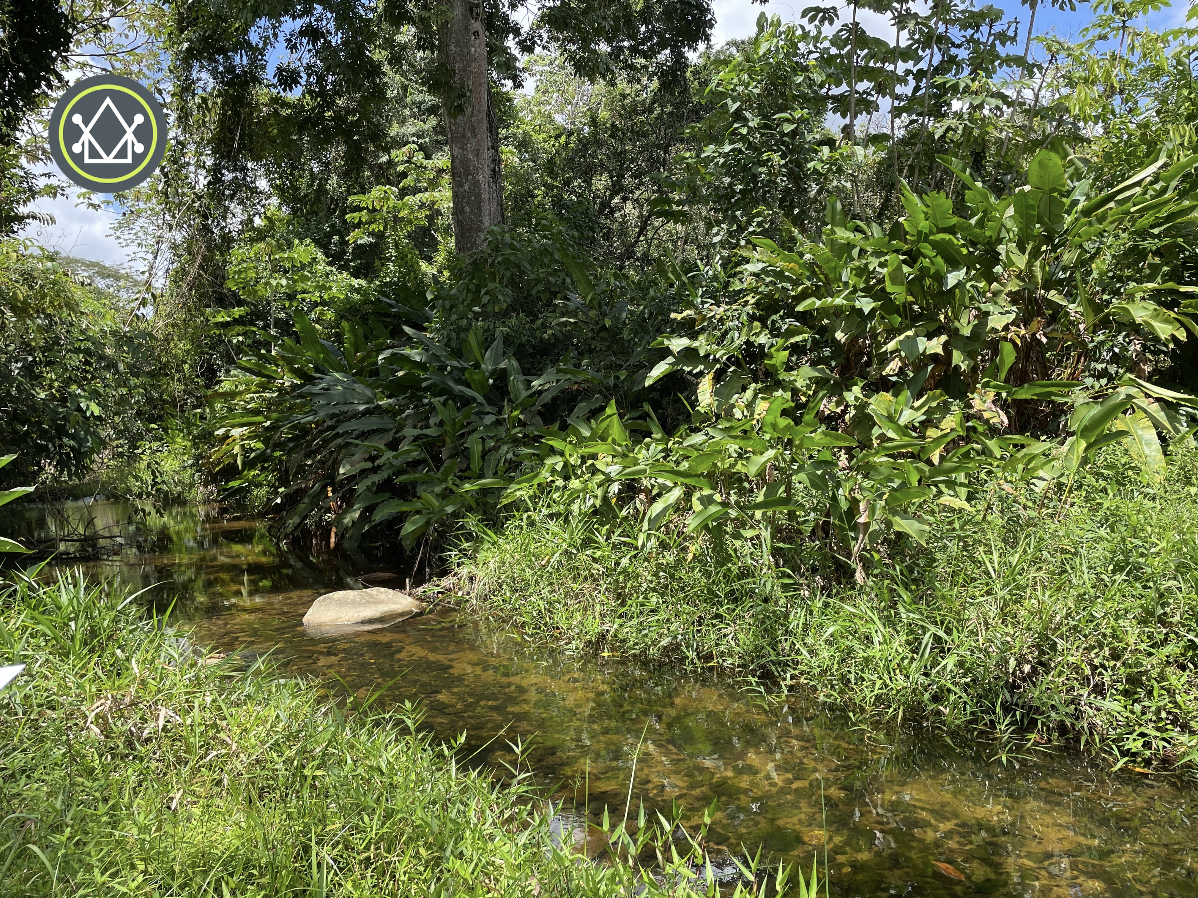PF0025 – Streamside – 25 Acres Farm Land – Coastal Road