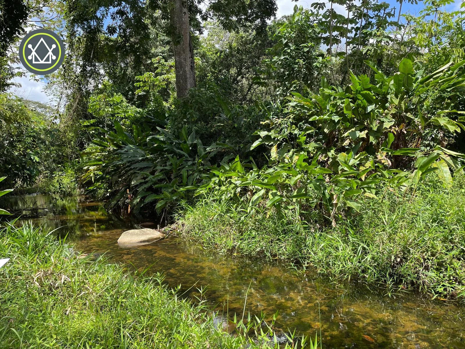 PF0025 – Streamside – 25 Acres Farm Land – Coastal Road
