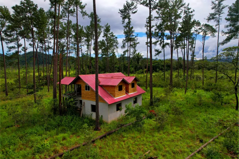 5 Acres Land And Fixer-Upper Home For Sale In AguaViva Area, Cayo District.