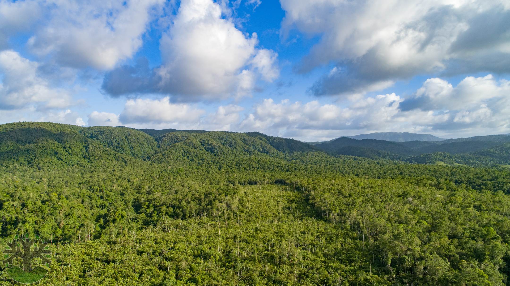 Astonishing 300-Acre Investment Opportunity In The Maya Mountains