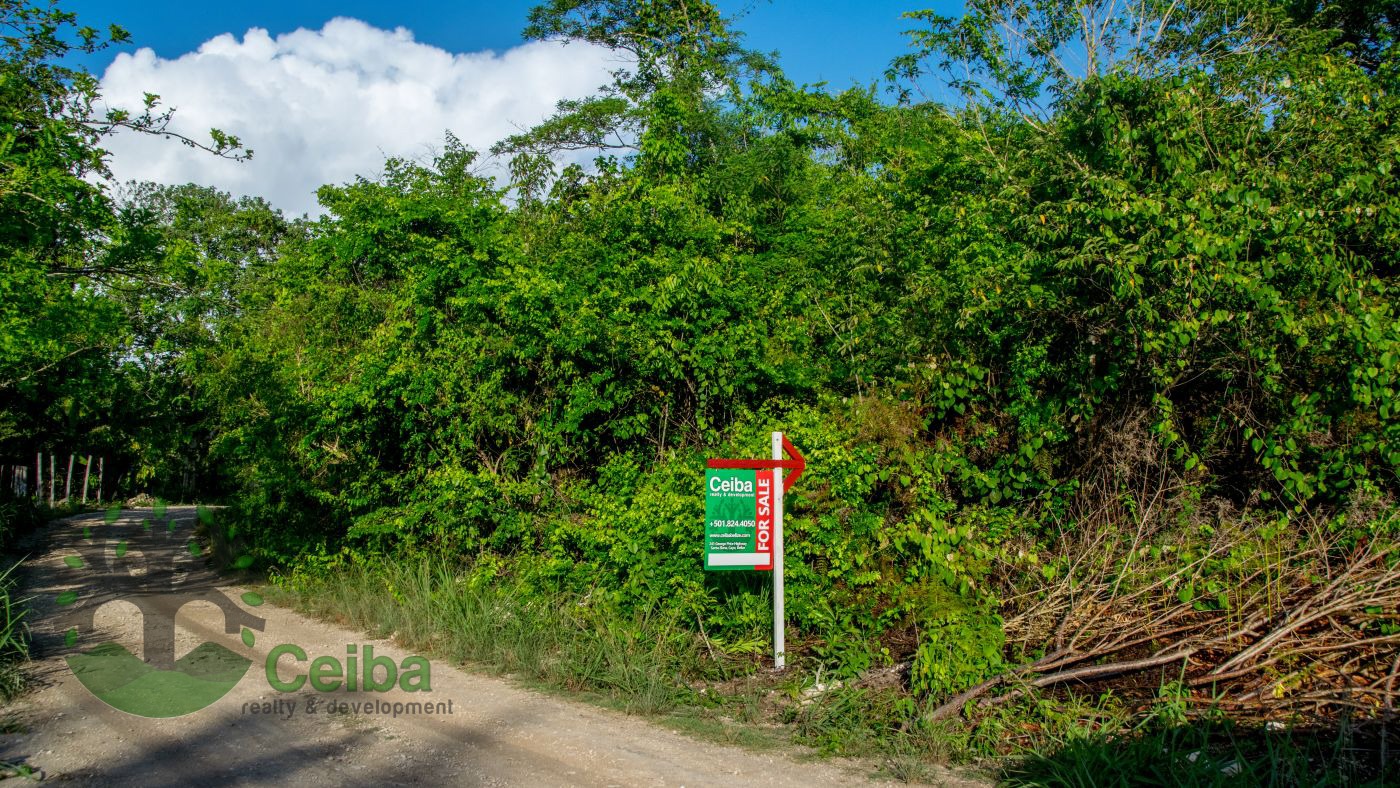 0.35-Acre Lot in San Ignacio