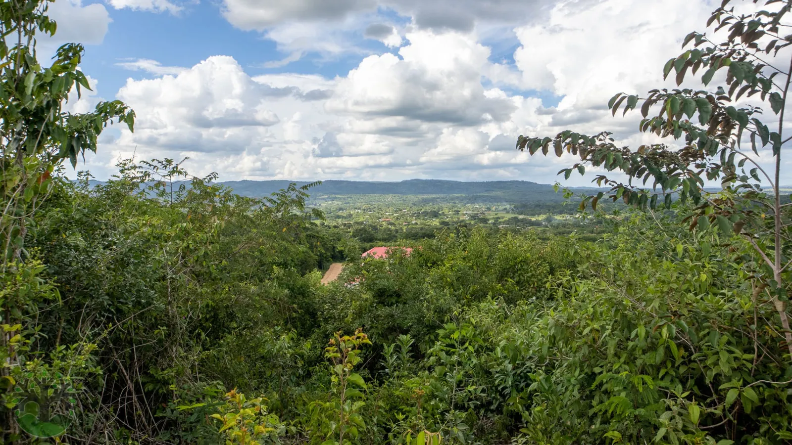.25 Acre Hilltop Lots In Bullet Tree Village