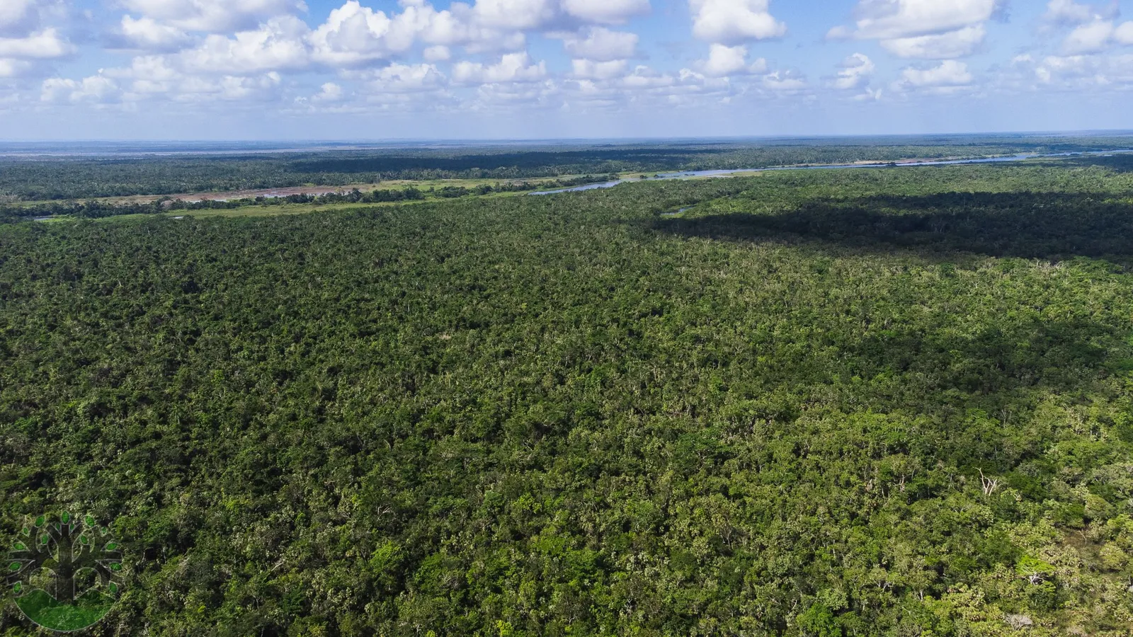 55-Acre Investment Parcel In Lemonal