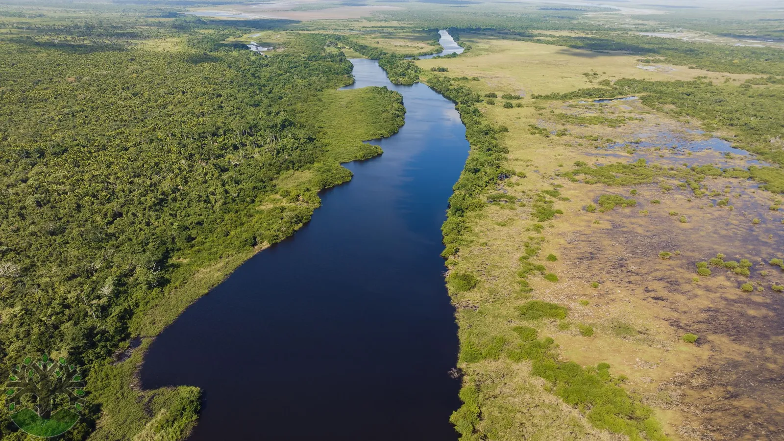 4046-Acre Creekfront Investment Property In Lemonal