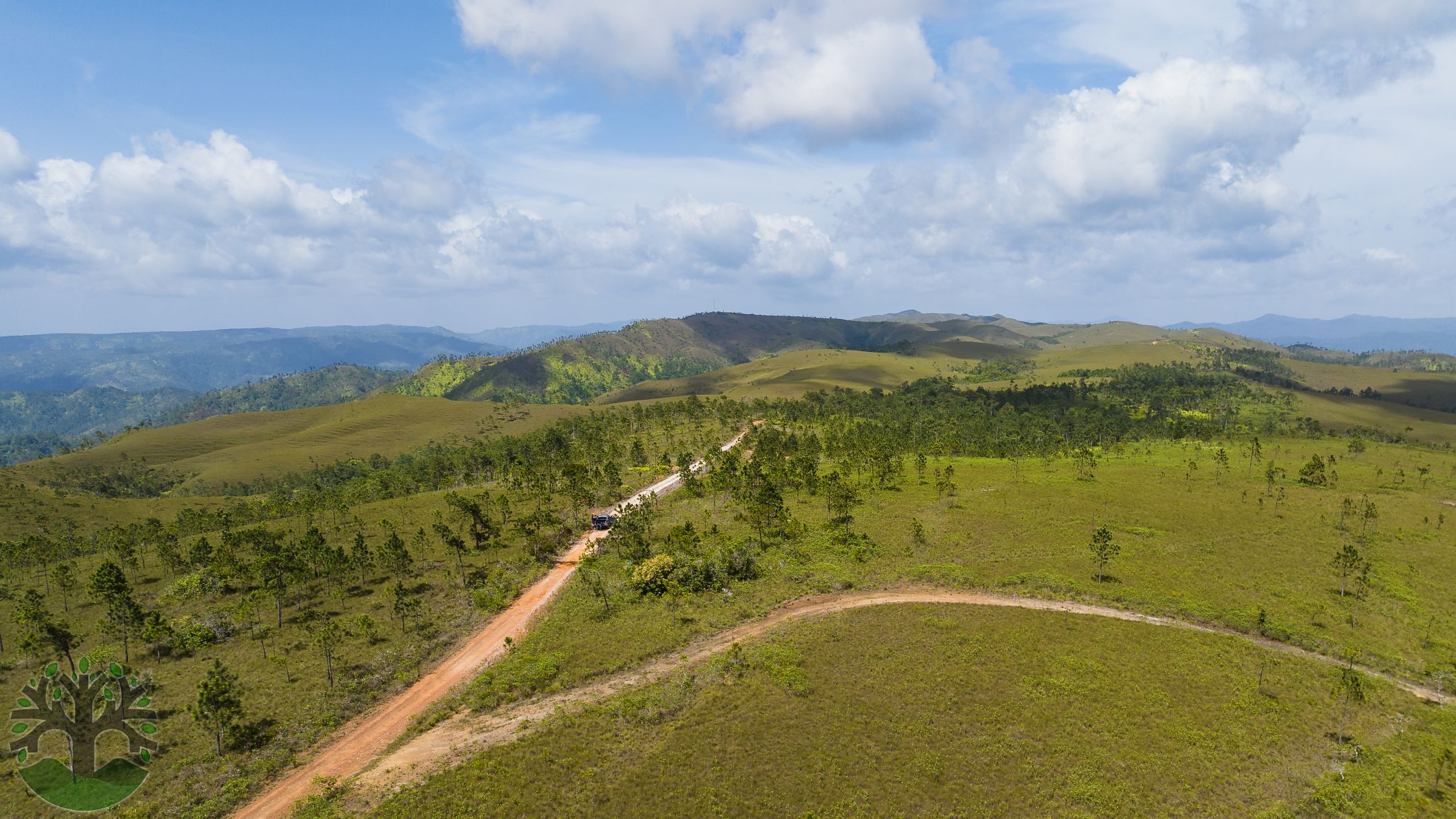 Picturesque 25-Acre Parcel In Baldy Beacon