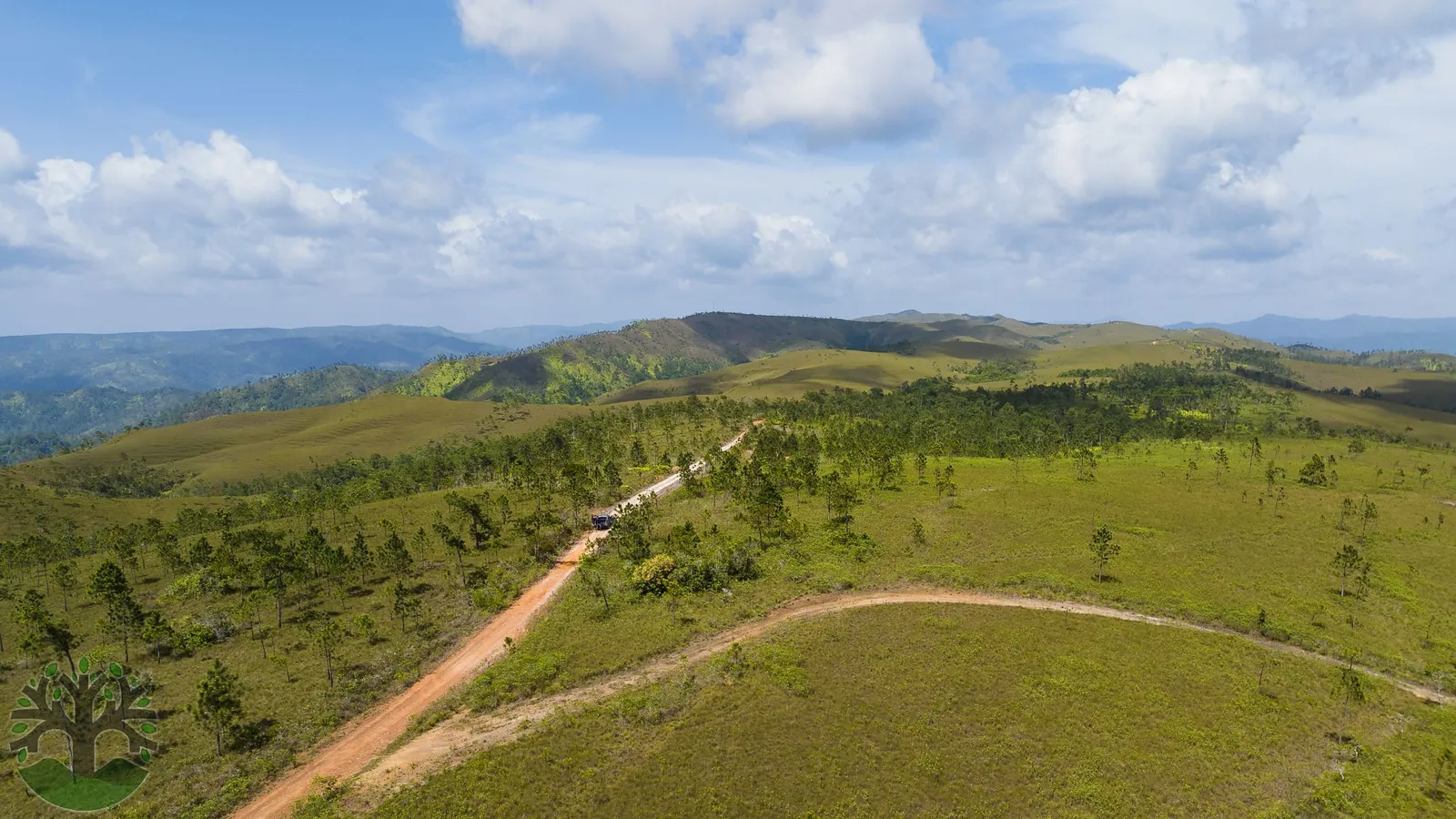 Picturesque 25-Acre Parcel In Baldy Beacon