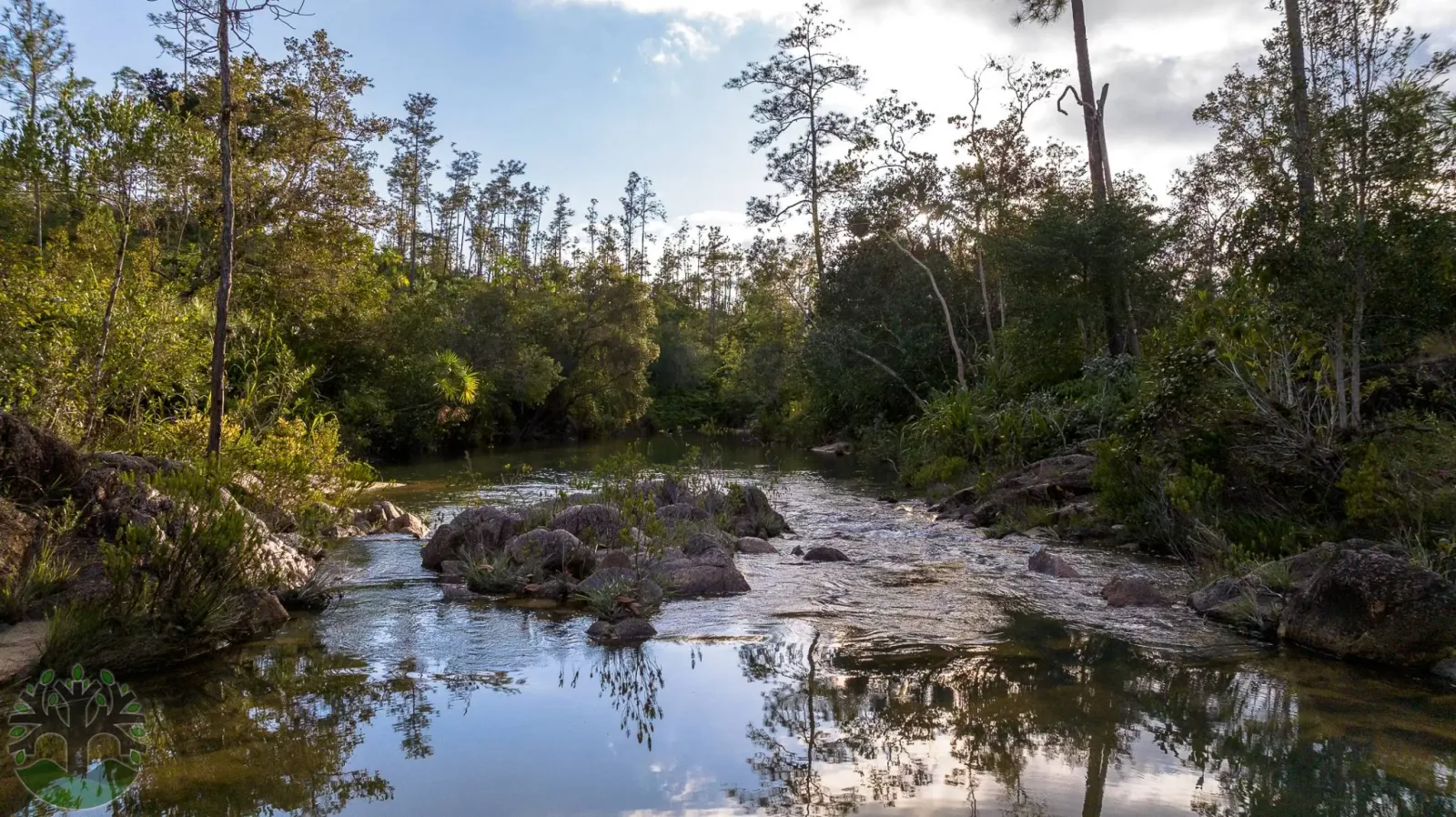 Stunning 10-Acre Parcel On Oakburn Creek!