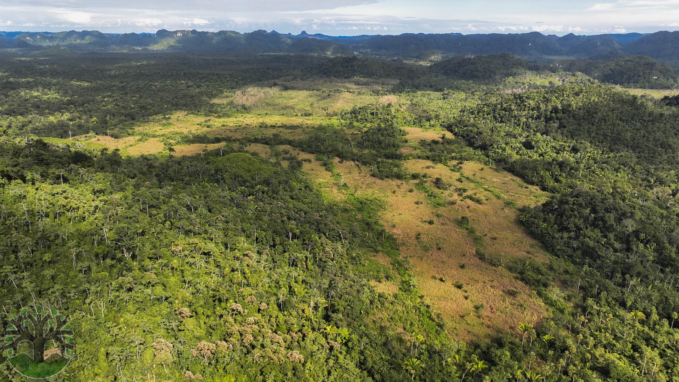 Impressive 481-Acre Tree Farm With Stunning Views & Creek Frontage