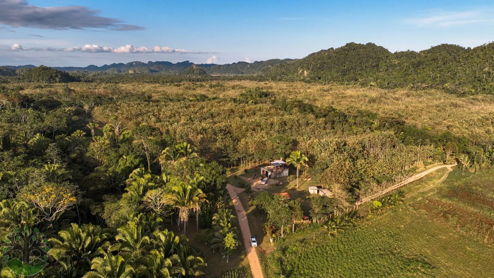 650-Acre Operating Tree Farm W/ River frontage