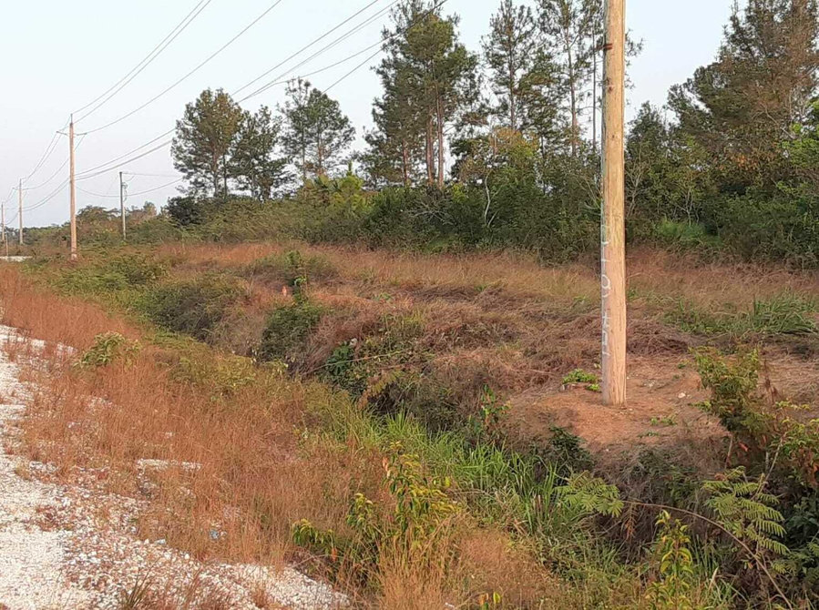 Large Lots in La Democracia Belize