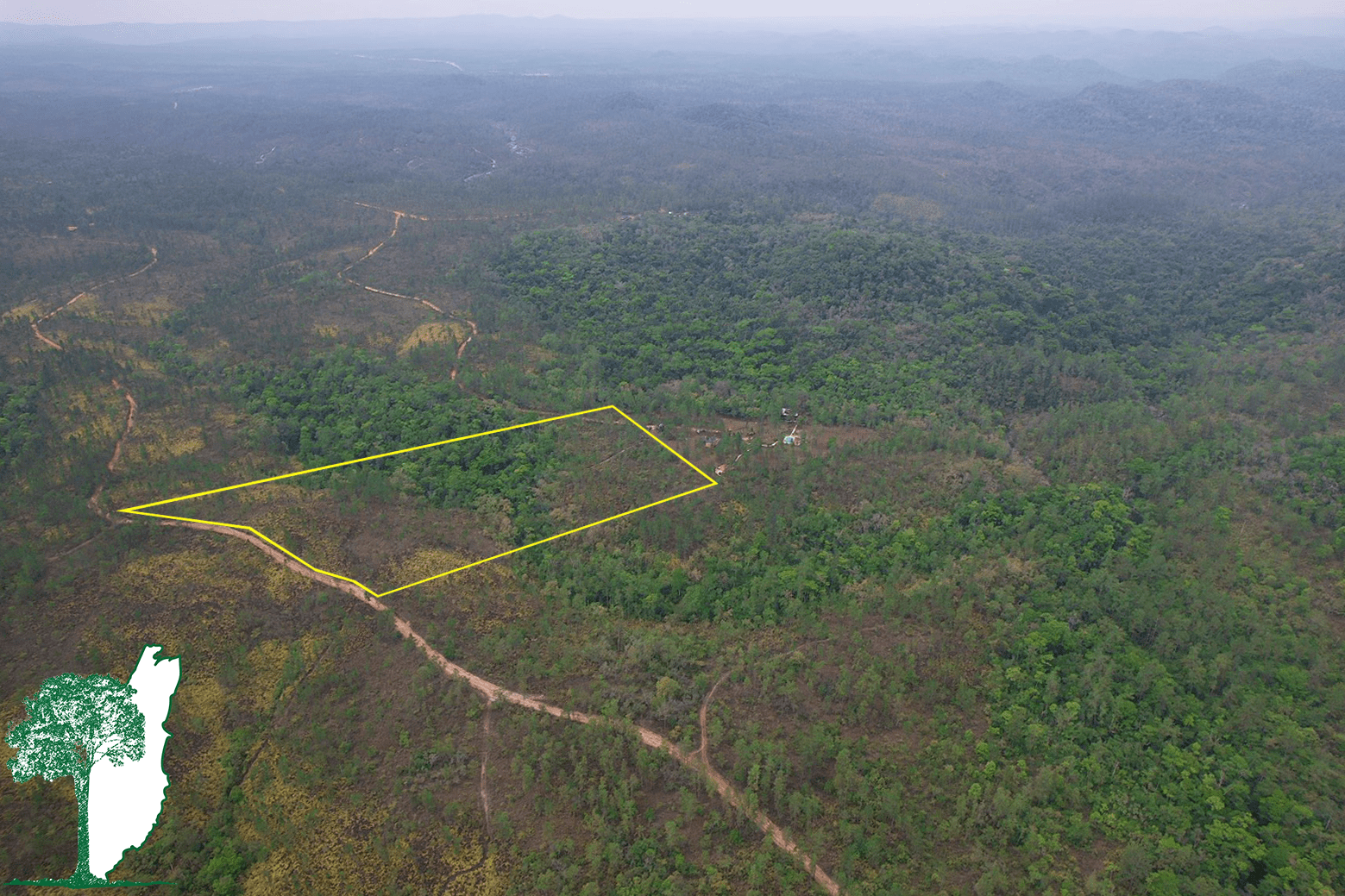 10 Acres Mountain Pine Ridge Land.