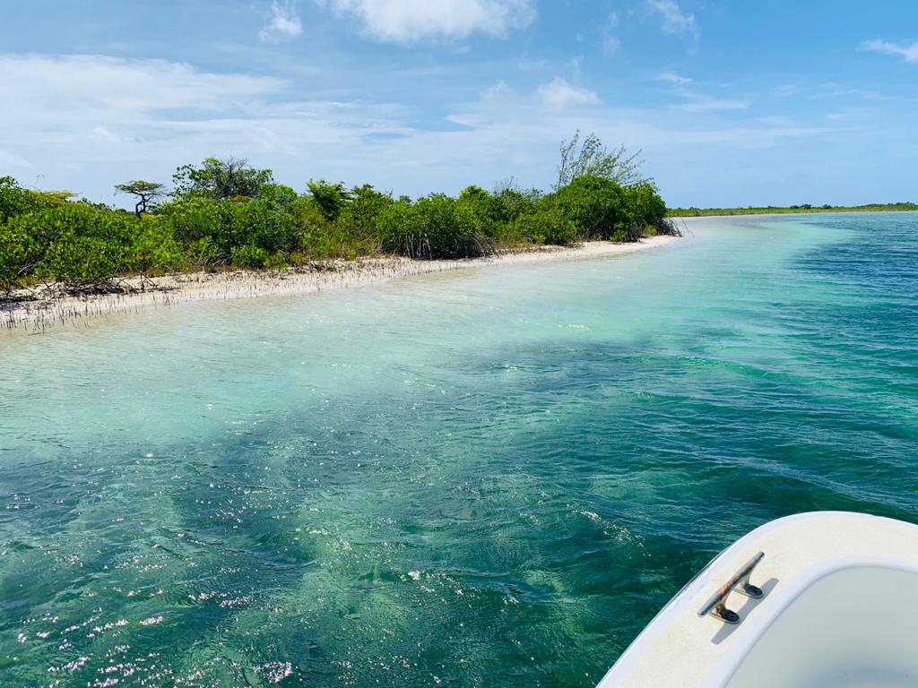 Beach Front for Sale