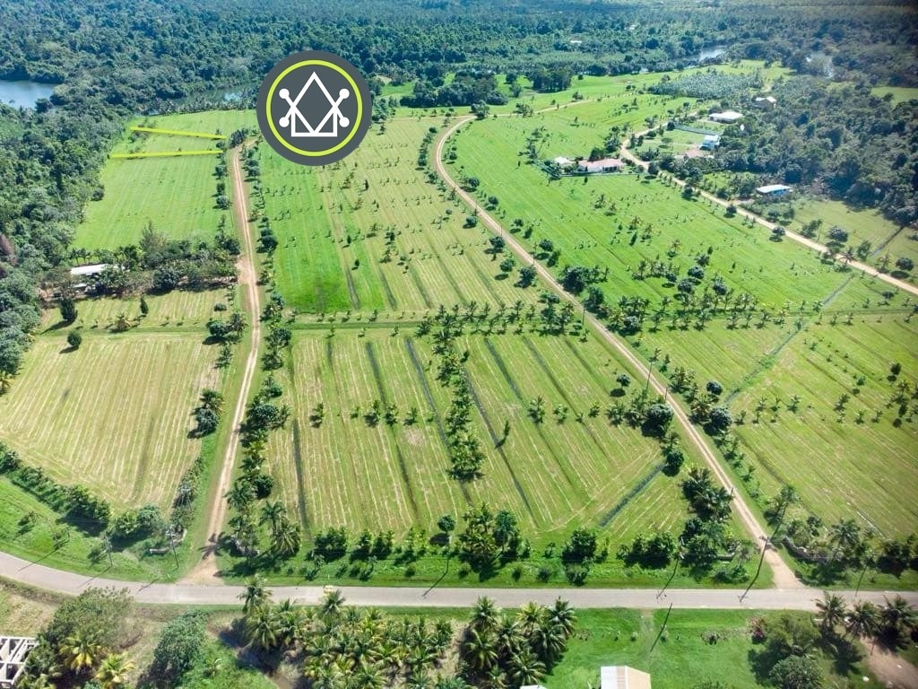 PL0132- Sittee River Orchard Estate Lot 21