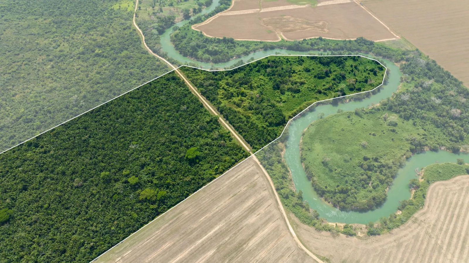 100 Acre Investment Property on the Belize River in Cayo!