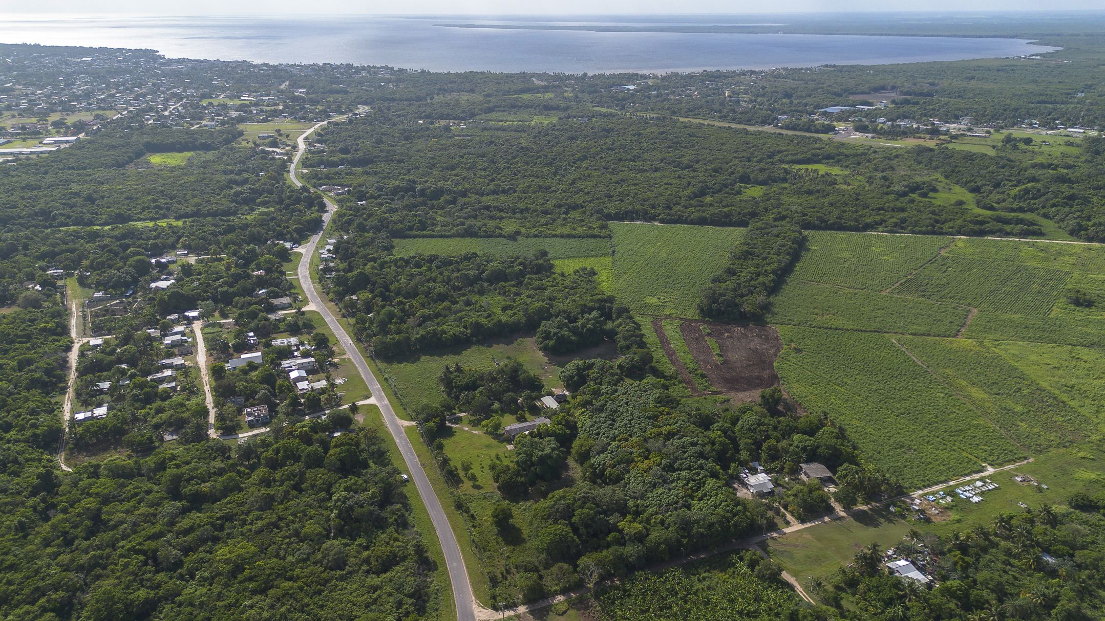 Operational 8-Acre Homestead just 5 minutes from Corozal Town!