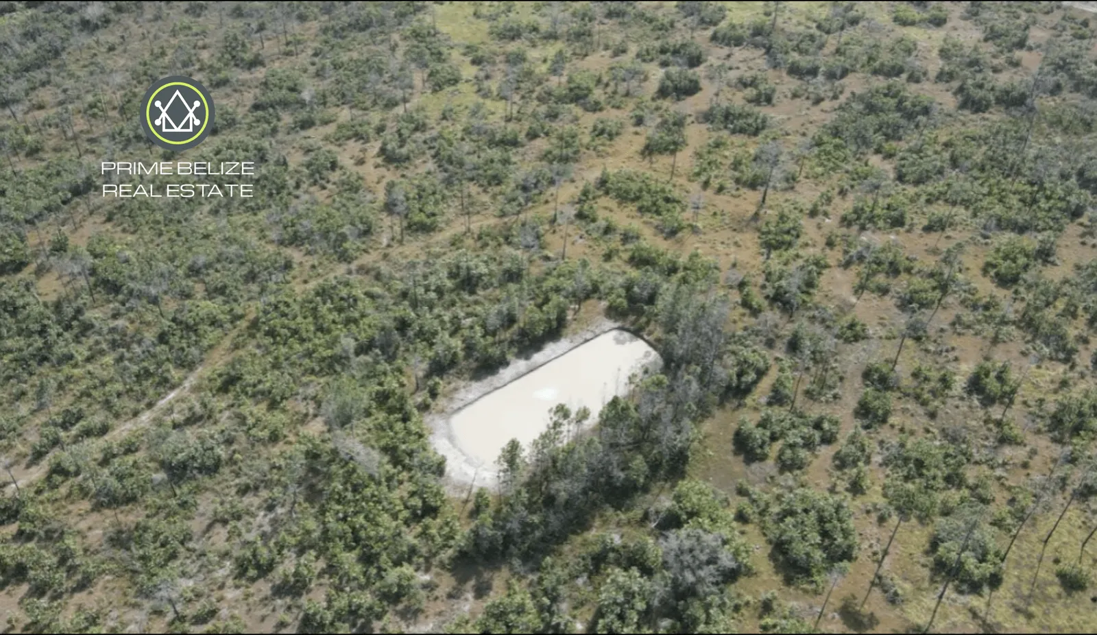PF0060- 50+ Acres of Fertile Farmland in the Cayo District, Belize