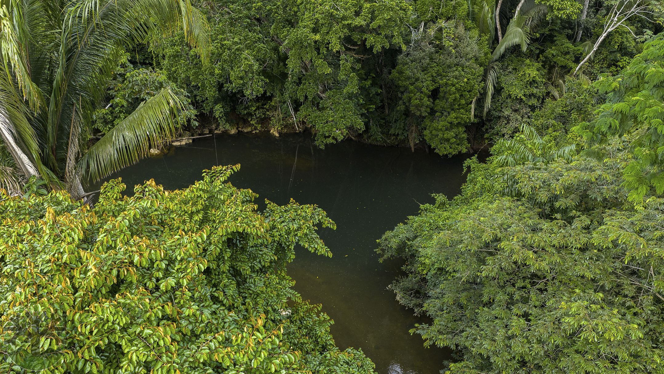 12-Acre Hobby Farm along the famous Barton Creek in Cayo!