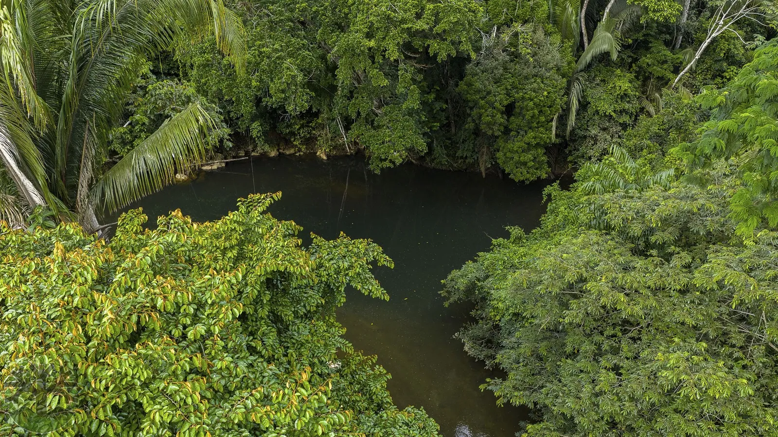 12-Acre Hobby Farm along the famous Barton Creek in Cayo!