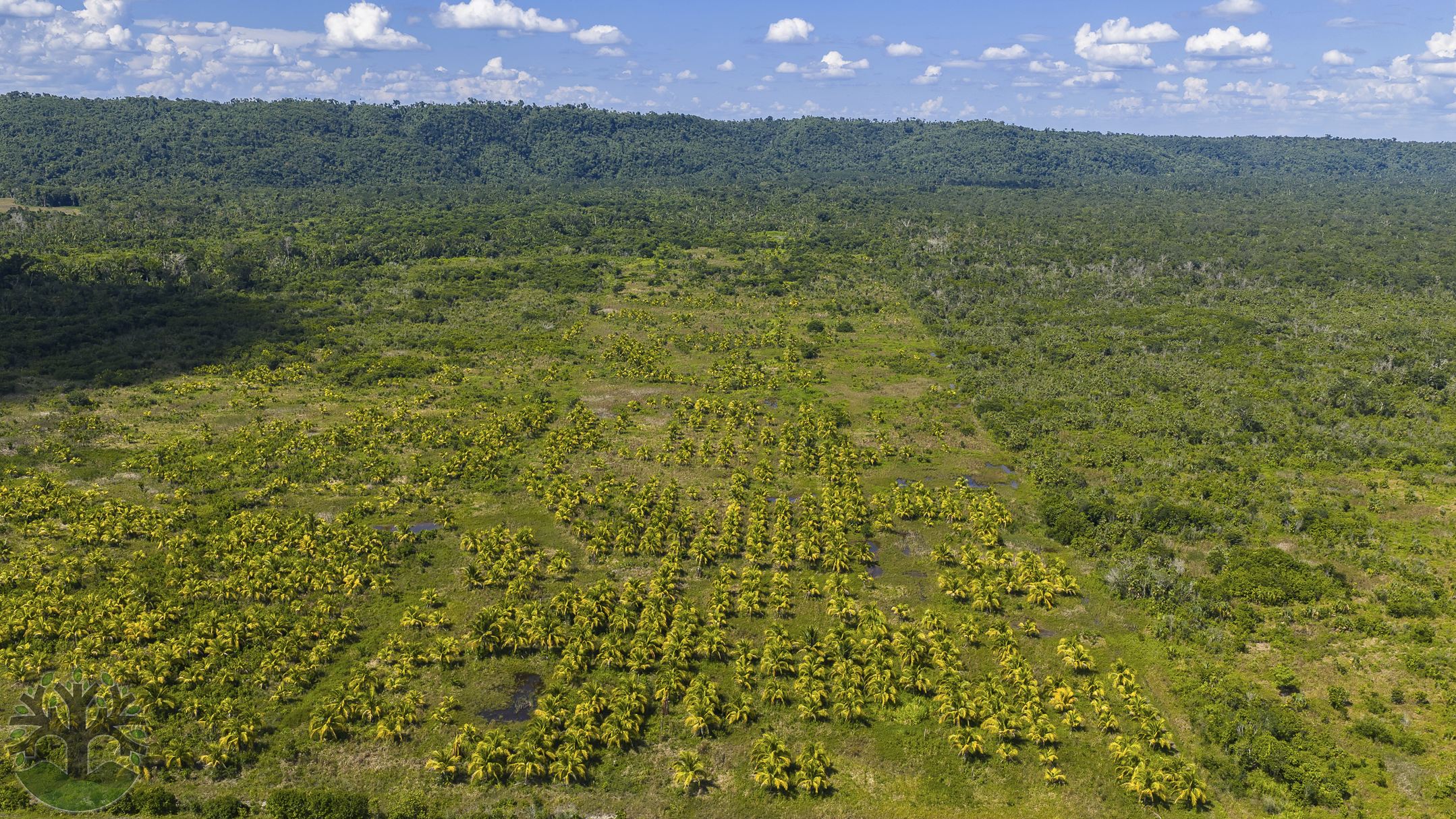 119-Acre Agricultural Parcel w/ Creek in Yalbac Area!